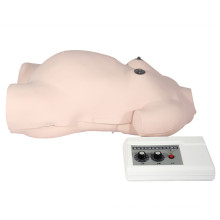 Modèle de simulateur de formation palpation abdominale de grossesse de maternité